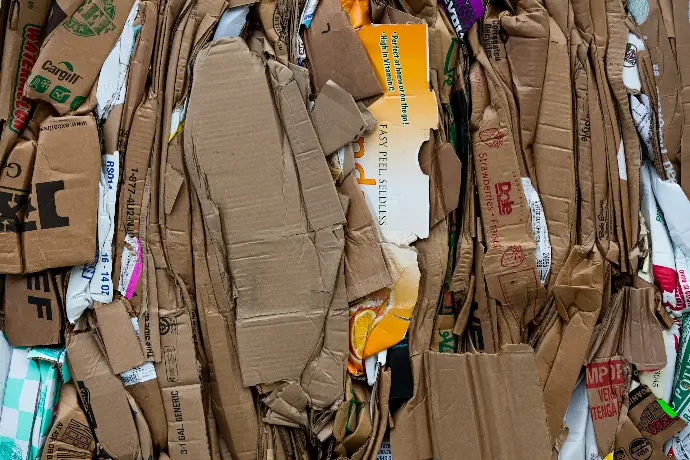 cardboard lot