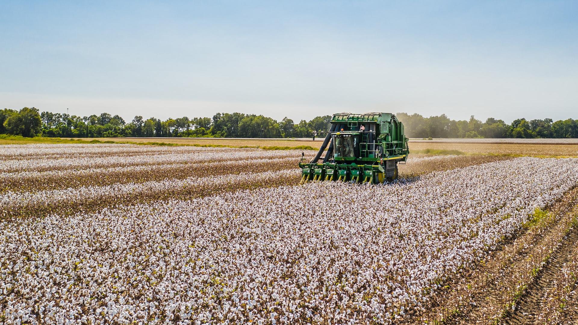 a tractor is driving through a field of cotton